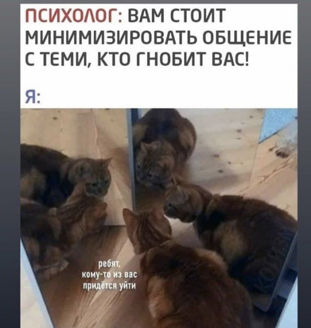 Баянисто-небаянистый юмор 23.08.21