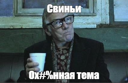 Аэропорт Амстердама для борьбы с гусями выпустил на поля 20 свиней. Их задача — есть остатки урожая