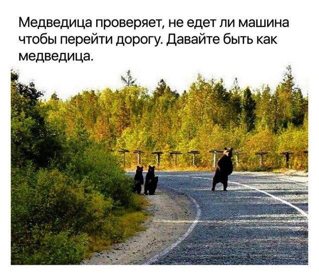Подеградируем, побаяним...