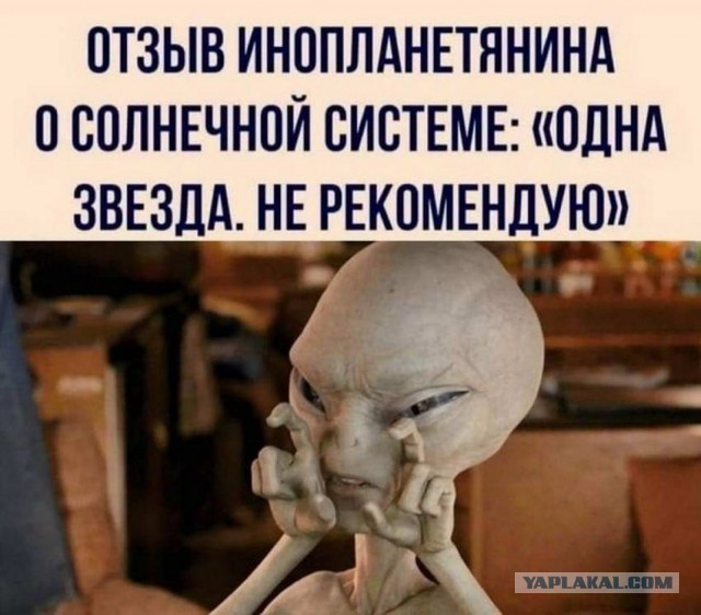 Картинки и мемы для настроения 21.12.21