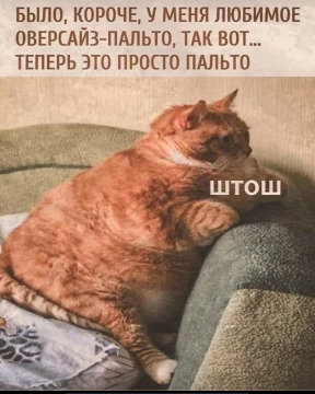 Человек собаке друг и другие картинки и мемы  под настроение