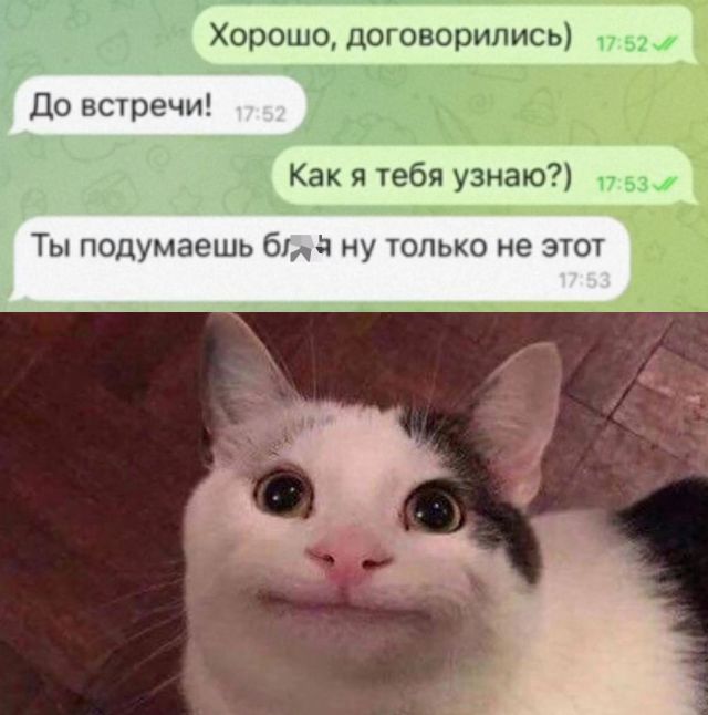 Так себе картинки 12.02.22