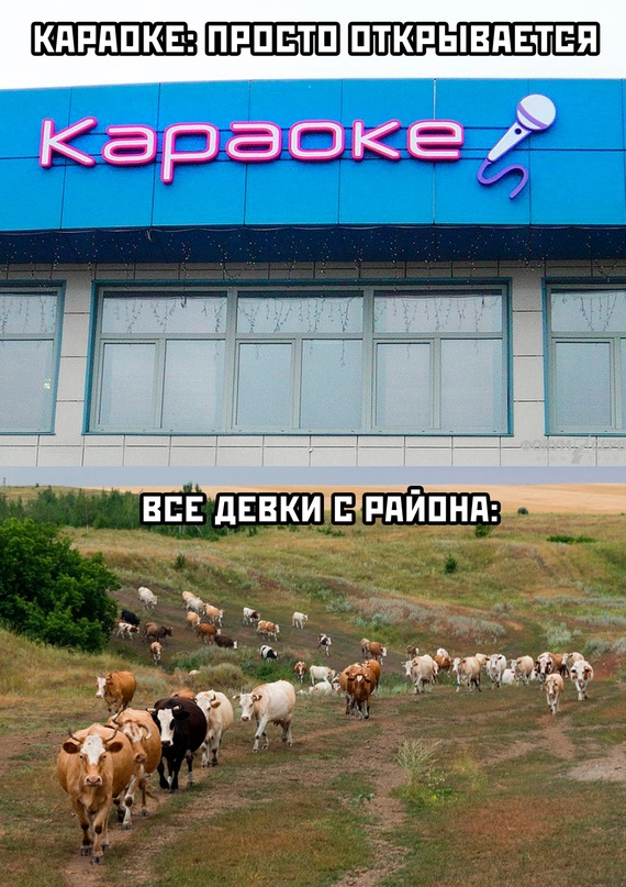 Картинки и мемы. Выходные близко, близко...