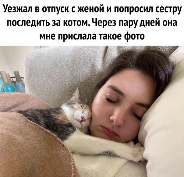 Картинки и мемы для настроения - 119