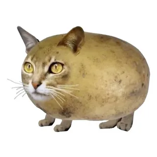 Пост загадка