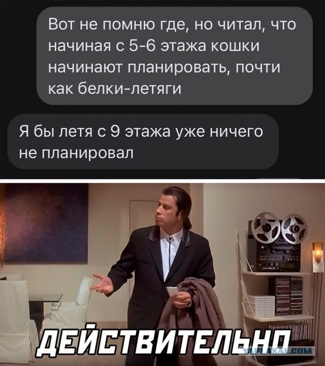 Немного картинок для настроения - 137