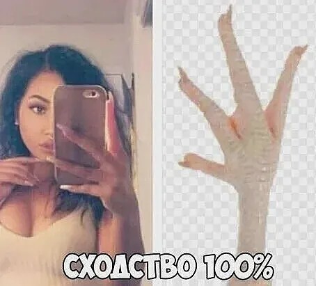 Дамы с телефонами