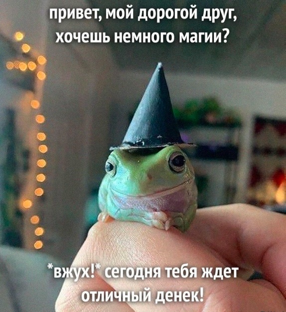 Весёлый полтишок 31.12.23