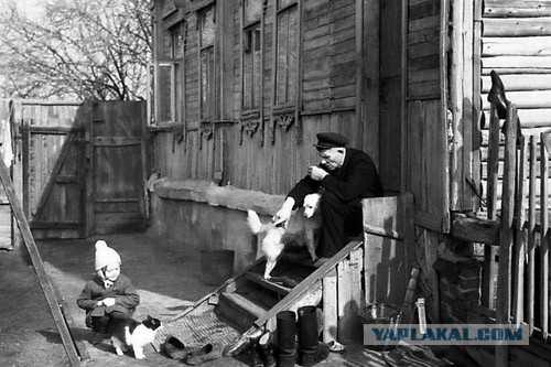 По двору дрейфует стиралка, холодильник перевёрнут, а ламинат уплыл к соседям