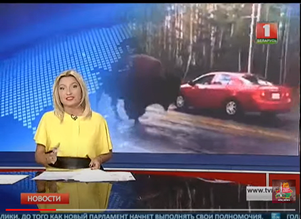 Поляки негодуют