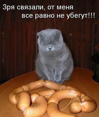Так себе картинки 09.11.24