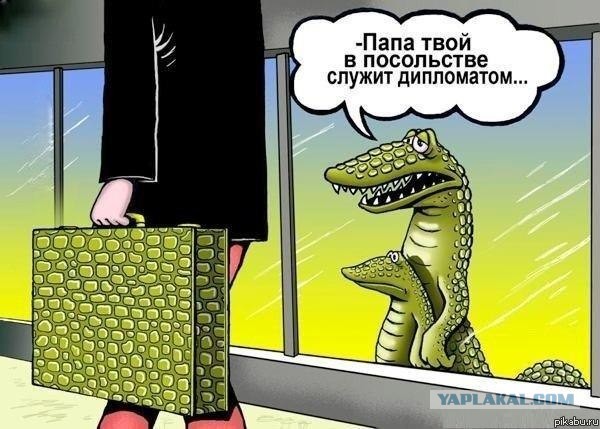 Почему крокодилы злые?