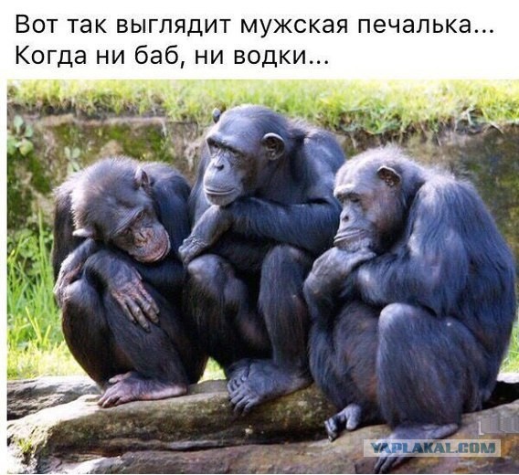 Федор Конюхов эвакуируется