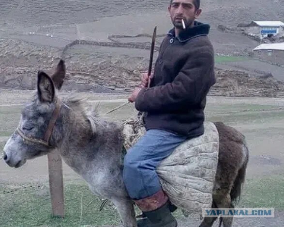 Где встал, там и парковка