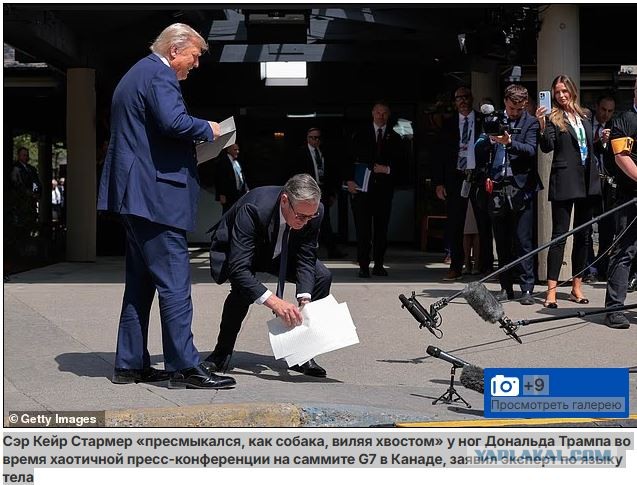 Трамп посоветовал Путину не лезть не в своё дело