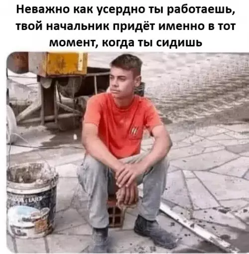 Веселое настроение в картинках (07.08.2025)