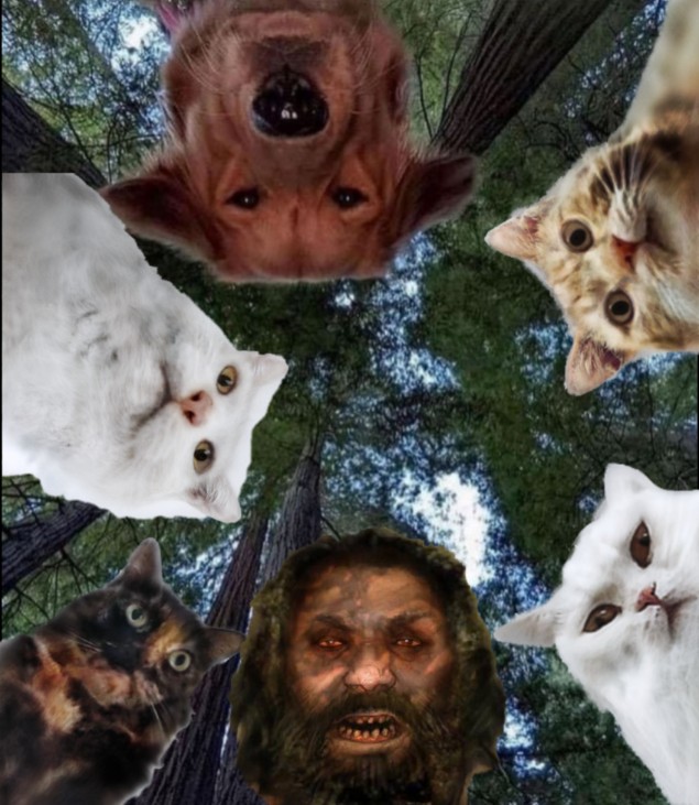 чатя для  пьяниц
