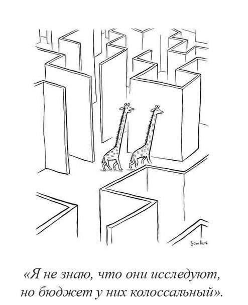 Небаянистая эволюция
