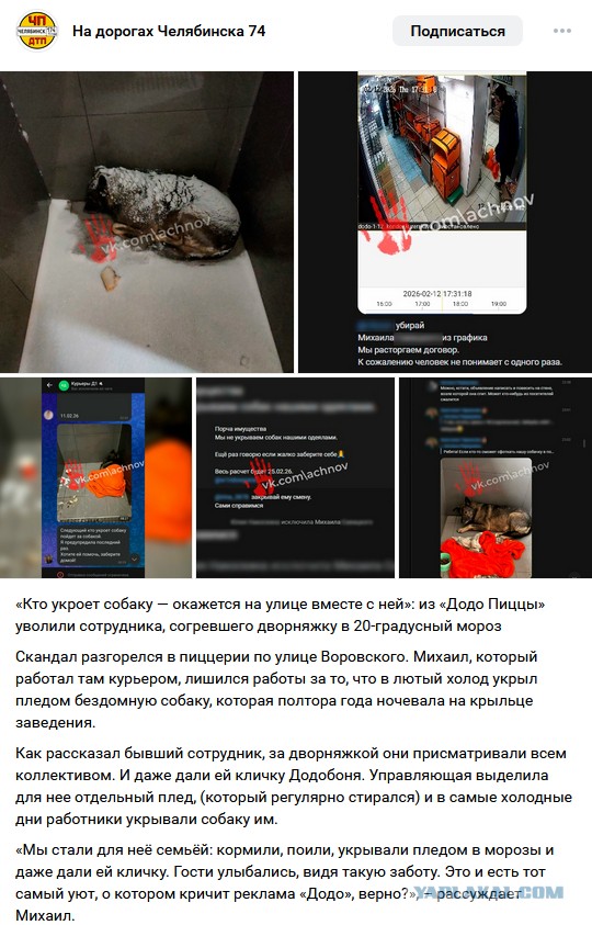 «Кто укроет собаку — пойдёт за собакой»