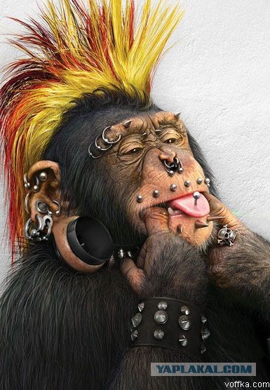 Внезапный пассажир в метро