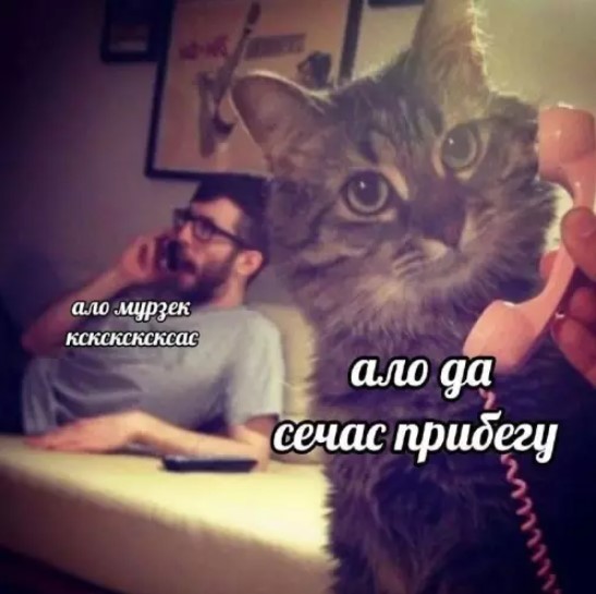 Картиночки, баянчики 04 апреля
