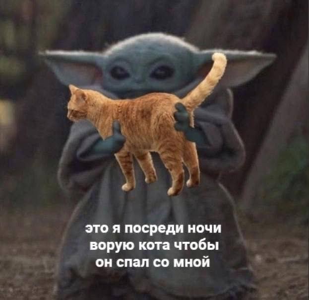 Картинки для деградации 242 (разной степени свежести)
