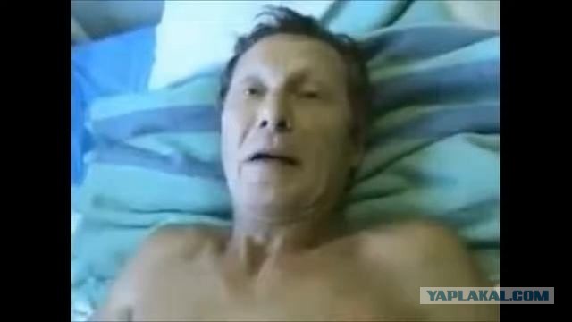 Бродячая собака внесла разнообразие в унылый вечер индийской пасторали