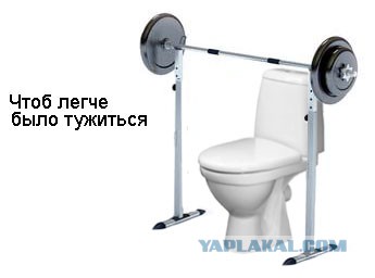 Замаскированный туалет