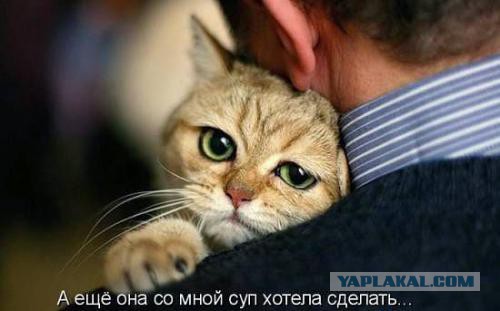 Cделал для себя, но может еще кому пригодится?