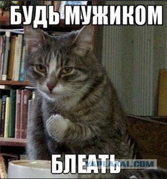 Соседка собирается подавать на алименты