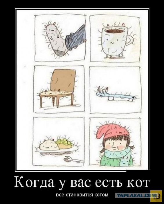 Самые злобные демотиваторы
