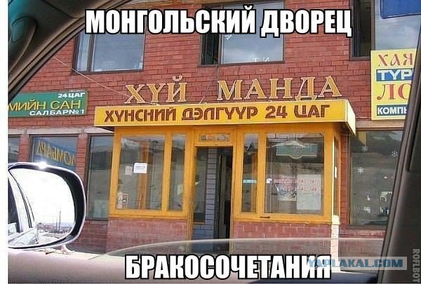 Смешные картинки с подписями