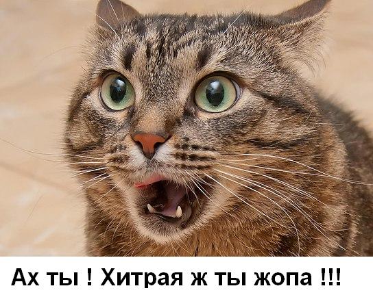 Как меня грузчики разводили...