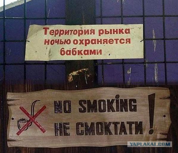 Подборка картинок