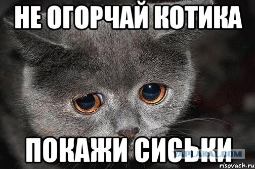 Модель Алексис Рэн