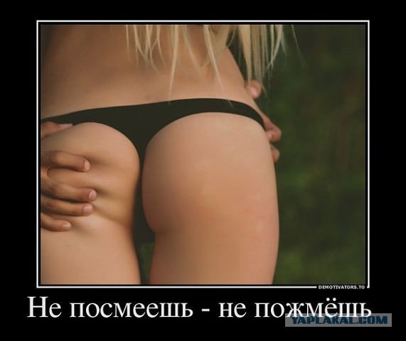 Демотиваторы вторника
