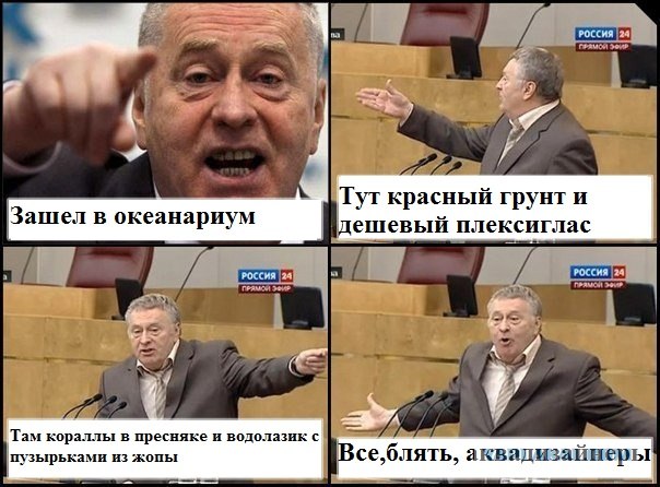 Московский океанариум глазами профессионала