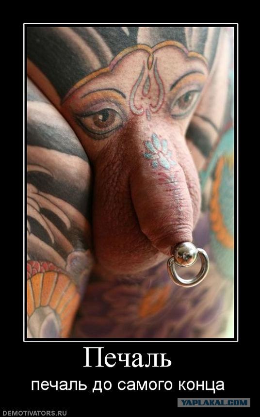 К чему приводят разговоры о сиськах