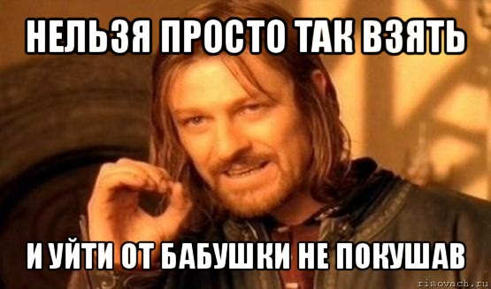 Приехали вот к бабушке по хозяйству помочь
