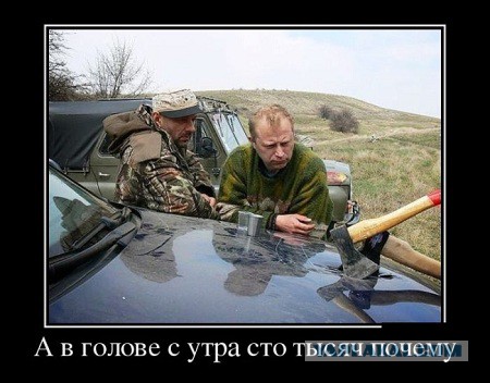 Весёлые картинки