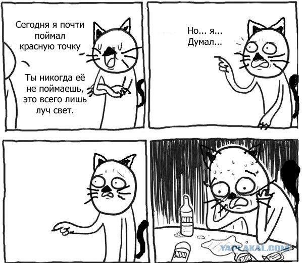 Котокомиксы