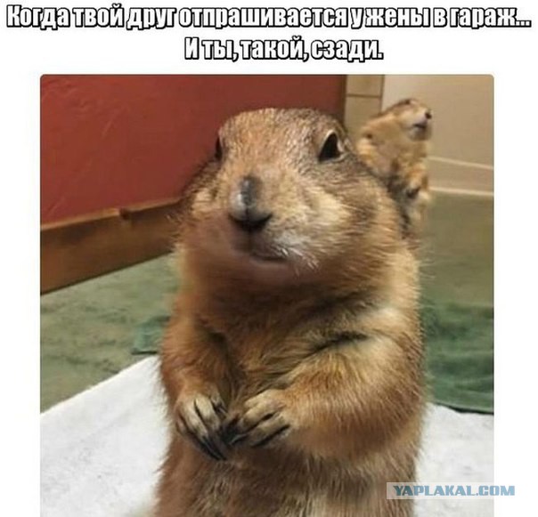 Картинки разные с интернету