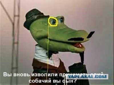 Курс доллара перевалил за 80 рублей
