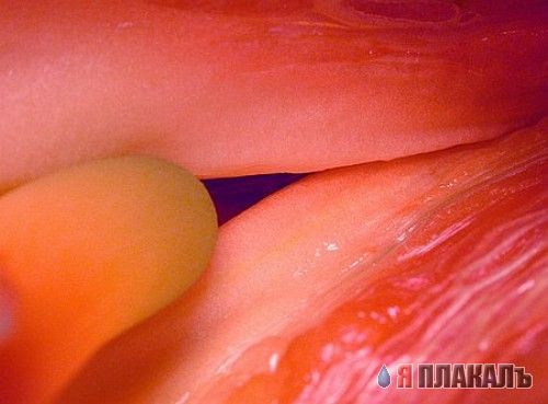 Эта сексуальная природа. РАСТЕНИЯ, ПЕЙЗАЖИ