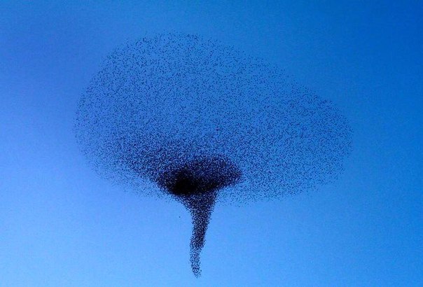 Подборка картинок на среду