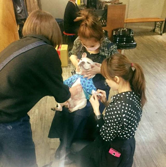 Картинки из ваших интернетов, 18+