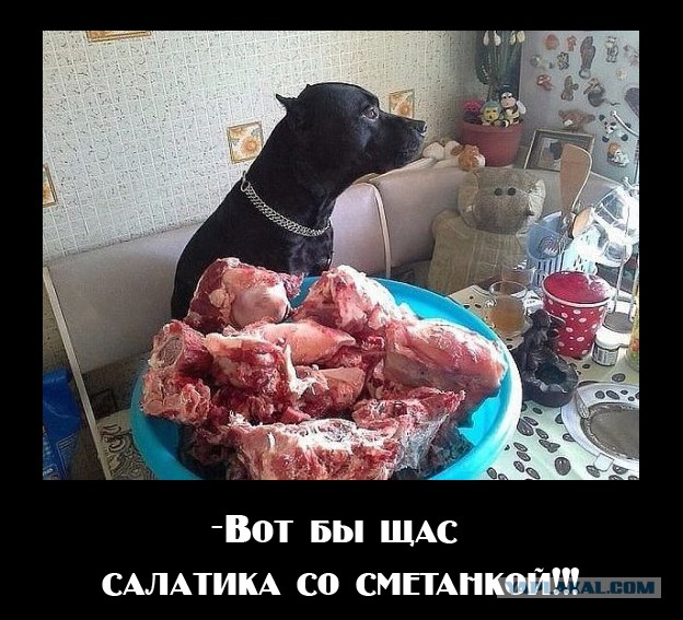Подборка веселых картинок на выходные