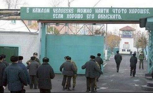 Абсурдный юмор ч.24