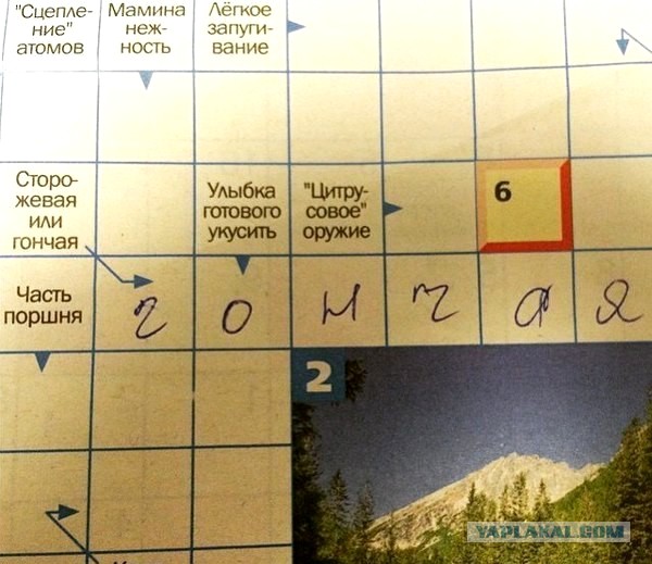 Немного лёгкой наркомании в картинках