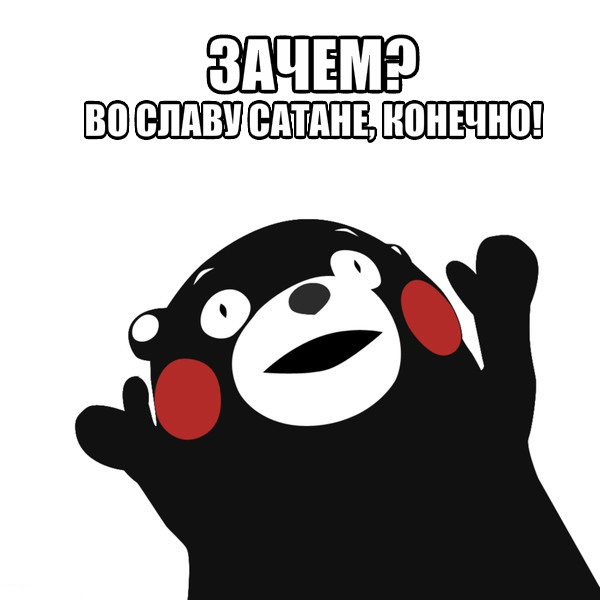 Эта кошка все время поднимает лапы вверх, и никто не знает — почему